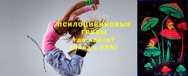 стафф Алзамай