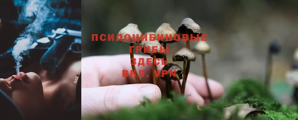 гидропоника Абдулино