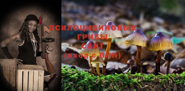 ALPHA-PVP Алексин