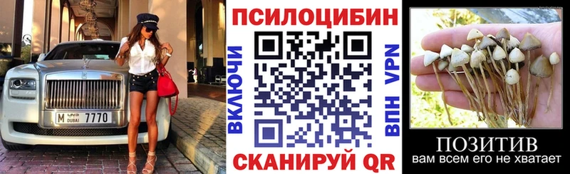 Галлюциногенные грибы Cubensis закладка Елизаветинская